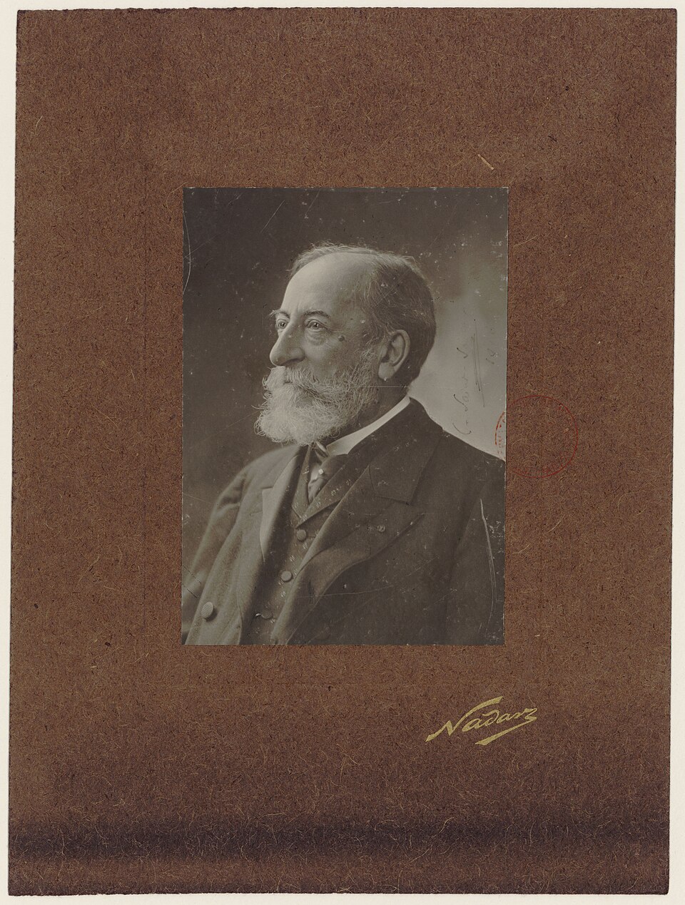 Profile photograph of Saint-Saëns by Nadar